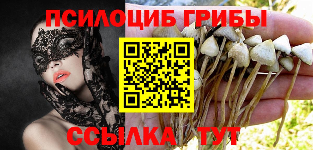 закладки  Галлюциногенные грибы Psilocybe  Вход с VPN  Галлюциногенные грибы Psilocybe  Похвистнево 